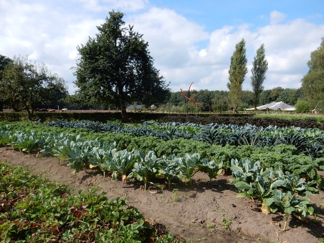 Excursie kasteel Hackfort 3 september 20160025